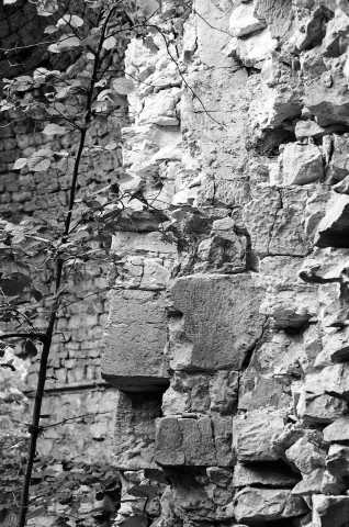 Piégros-la-Clastre.- Détail du pilier sud du chœur de la chapelle Saint-Médard (XIIe s.).