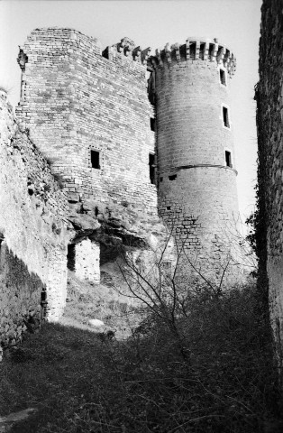 La Baume-de-Transit.- Les ruines du château féodal.