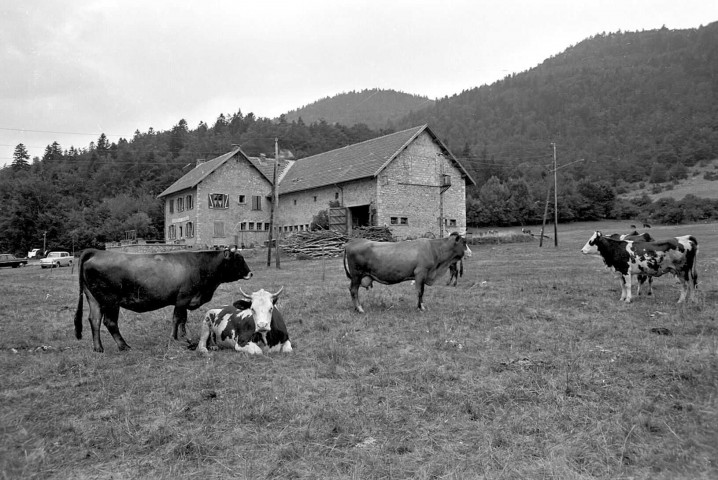 Bouvante.- L'auberge du Pionnier.