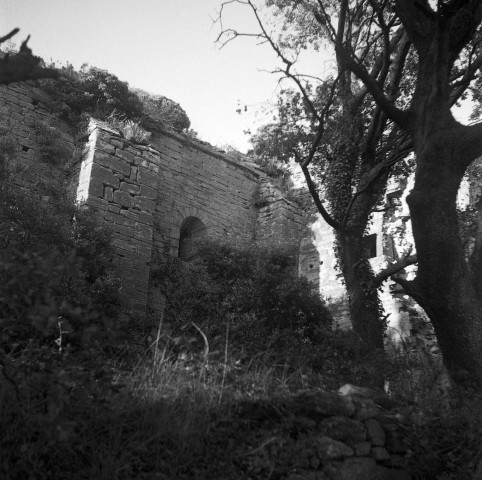 Rochegude.- Les ruines de la chapelle des Aubagnans, elle était celle d'un prieuré de l'ordre de Saint-Ruf.