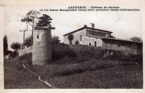 Anneyron. - Le château de Saleton.