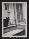 Chat noir devant une porte.