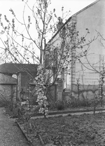 Montbard (Côte-d'Or). - Maison Gault, 25 rue Carnot.