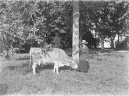 Charols, château de Salettes. - Marthe de Courtois et une vache.