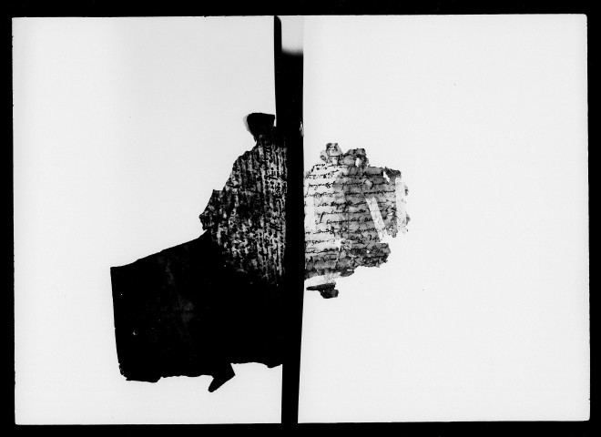 Notes brèves (25 janvier-29 décembre 1556).