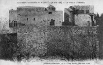 Montélimar.- Le château des Adhémar.