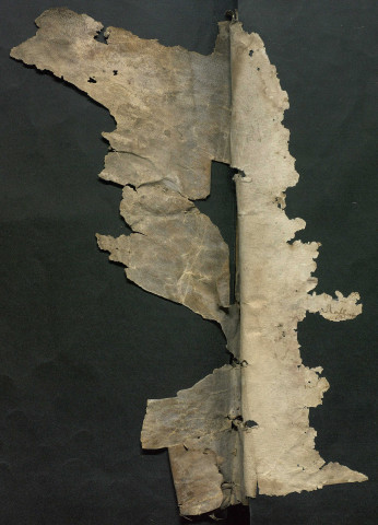 janvier-novembre 1651