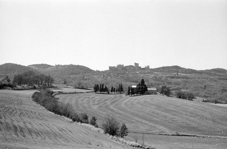 Rochefort-en-Valdaine.- Vue panoramique du château, site classé.