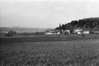 Triors.- Les abords du château.