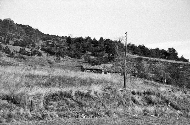 Ponet-et-Saint-Auban.- Vue générale de la ferme d'élevage Han Schook.