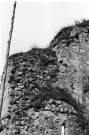 Allan. - Le chevet absidiole sud de la chapelle Barbara, avant la restauration de 1976.