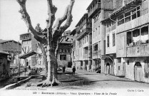 Romans-sur-Isère.- Le quartier de la Presle.