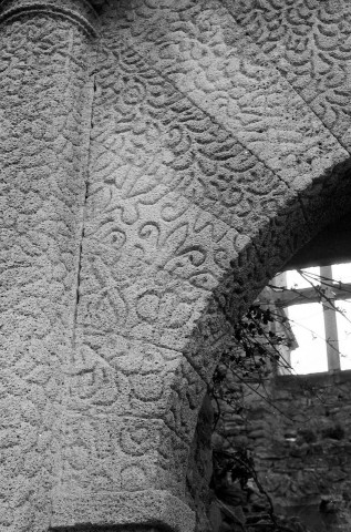 Montbrun-les-Bains. - Décor vermiculé du porche du château.