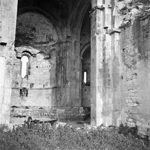 Allan.- Ruines de la chapelle Barbara, elle était celle d'un prieuré de l'ordre de Saint-Benoît.