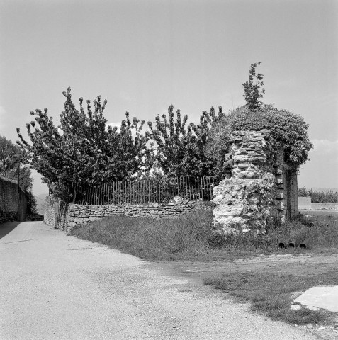 Étoile-sur-Rhône.- Rue de l'Ail.