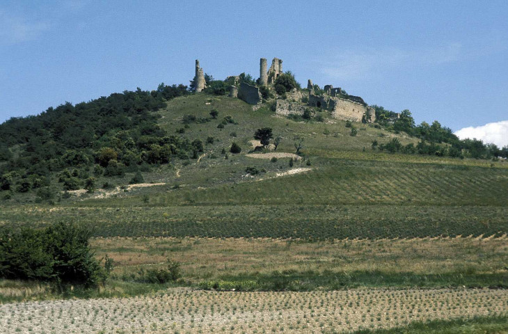 La Roche-Saint-Secret-Béconne.- Les ruines du château de Béconne.