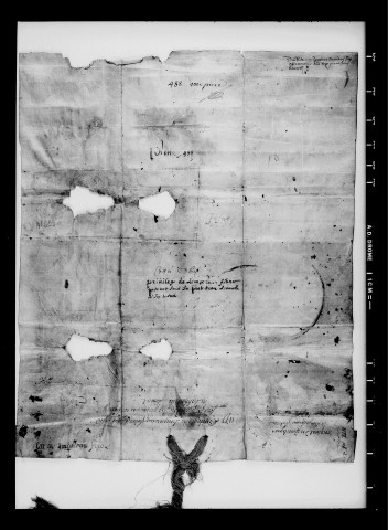 Privilèges de Frédéric 1er Barberousse, empereur des Romains et bulle de plusieurs papes : vidimus.