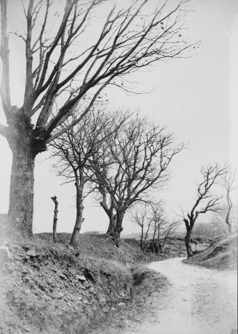 Charols. - Le chemin d'Eyzahut.