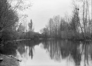 Jessains (Aube). - L'Aube à l'abreuvoir, vue vers Beaulieu.