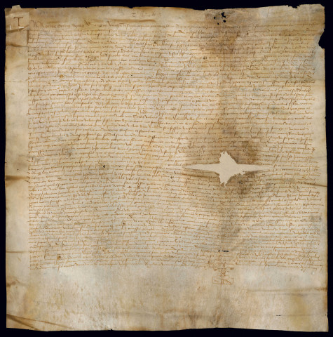 DD 1. Terme à l'utilisation des fossés comme jardins.