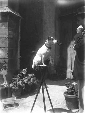 Arles (Bouches-du-Rhône), maison de Courtois, 4 rue du cloître. - Chien, de type Jack Russell terrier, installé sur un trépied, fumant la pipe face à Jacques de Courtois