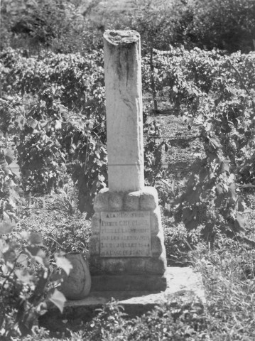 55. Brigade de Die. Nature de la commémoration : stèle. Lieu : Die, au quartier « Chapon », en bordure de la route nationale n°93 au point kilométrique 49,990. Nombre de victimes, mortes au combat : 1. Date : 22 juillet 1944.