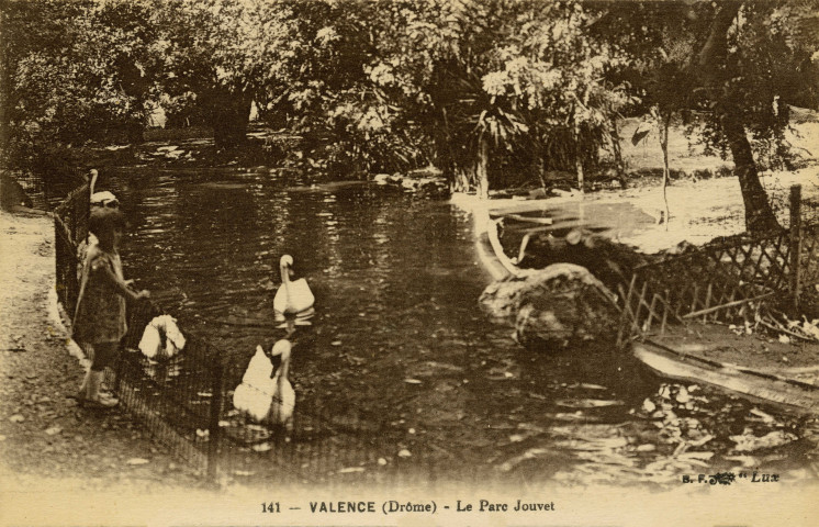 Valence. - Bassin et cygnes au parc Jouvet.