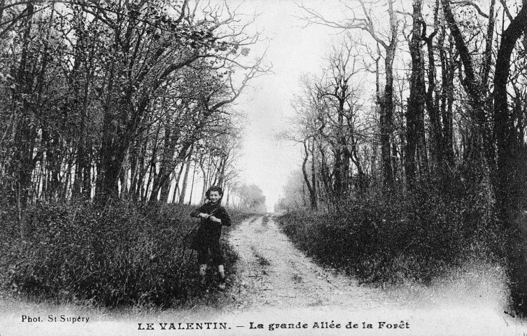 Bourg-lès-Valence.- Allée du parc de l'actuel Lycée Agricole du Valentin.