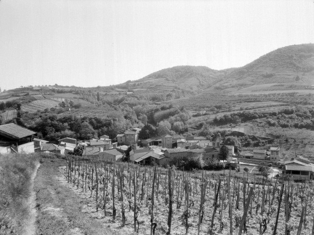 Crozes-Hermitage. - Vue du village