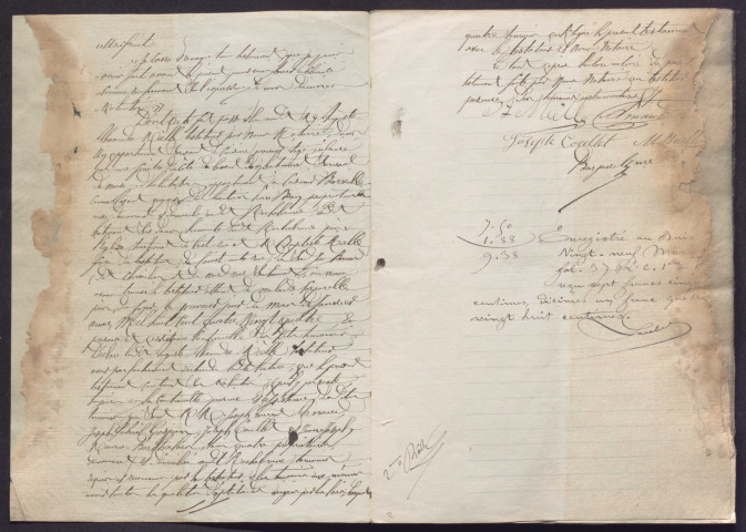 1er janvier-12 décembre 1884