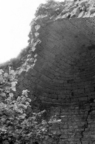 Piégros-la-Clastre.- Restes du cul de four de la chapelle Saint-Médard (XIIe s.).