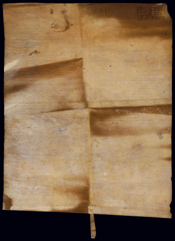 AA 5. Reconnaissance des libertés.