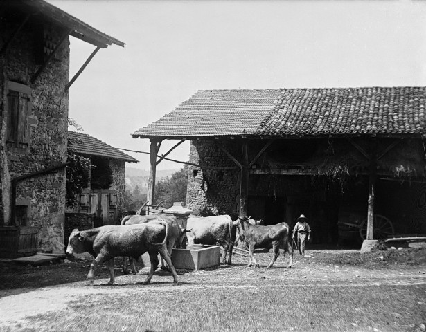 Saint-Thomas-en-Royans.- La cour de la ferme du château de la Chartronnière.