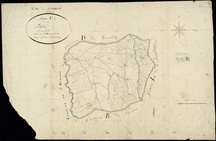 Section C, Forêt (la). Mouilles (les) (lieu-dit, parcelles n° 91-98) (agrandissement).