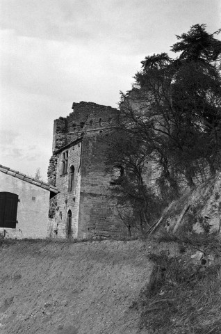 Étoile-sur-Rhône.- Vestiges du château des Poitiers.