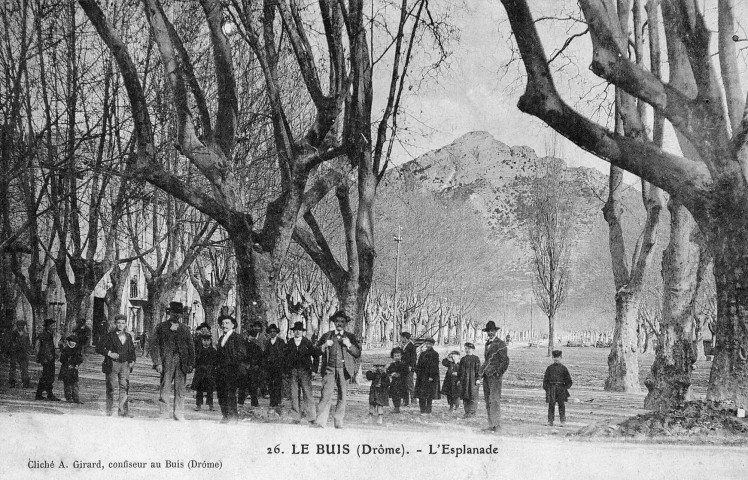 Buis-les-Baronnies.- L'allée des Platanes.