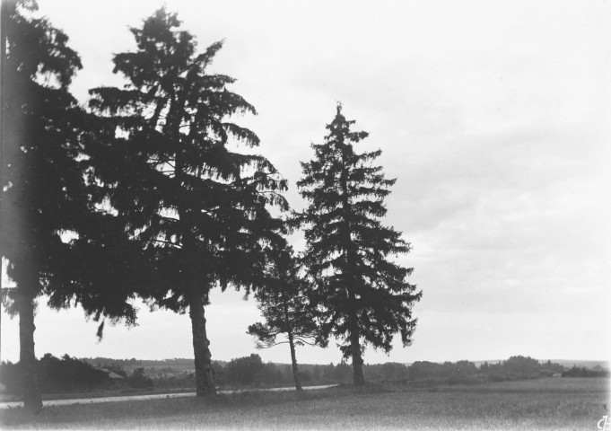 Jessains (Aube), usine de Beaulieu. - Coucher de soleil sur les sapins.