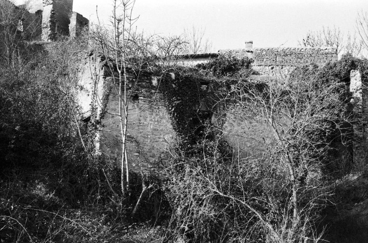 Mirabel-aux-Baronnies.- Visite du village pour une enquête architecturale.