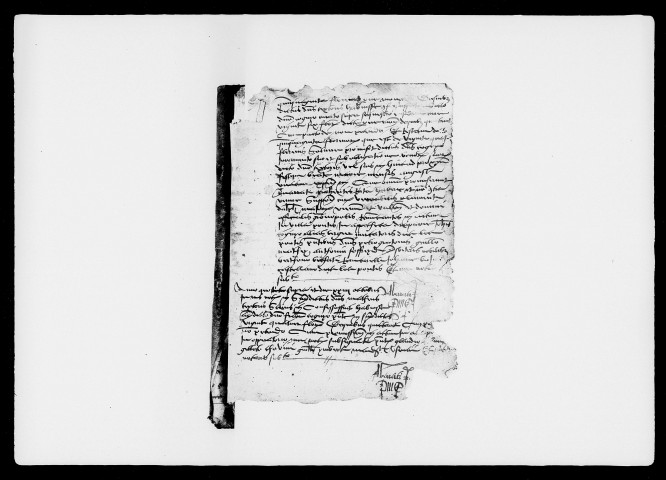 Notes brèves (1537).