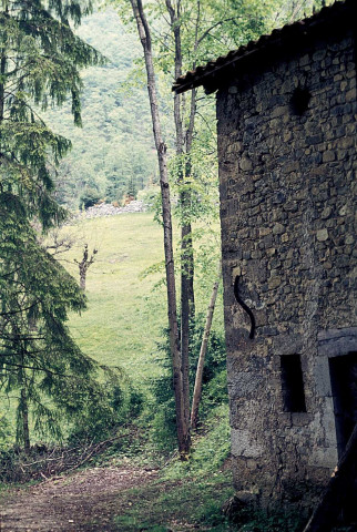 Saint-Laurent-en-Royans.- Ruines d'une chapelle.