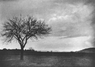 Charols, château de Salettes. - Essai de coucher de soleil.