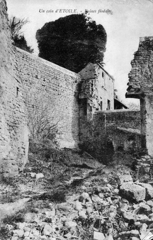 Étoile-sur-Rhône. - Les ruines du château Diane de Poitiers.