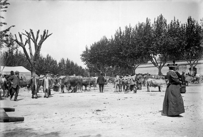 Marsanne.- Marché rural.