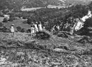 Vaunaveys-la-Rochette.- Scène de fanage à Saint-Denis section de Vaunaveys.