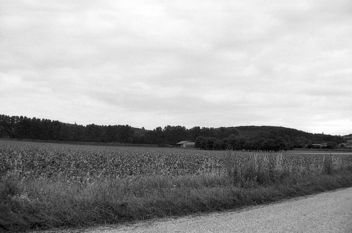 Triors.- Les abords sud du château.