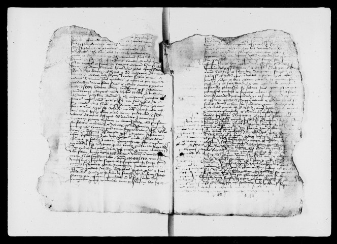 8 avril 1496-6 avril 1527