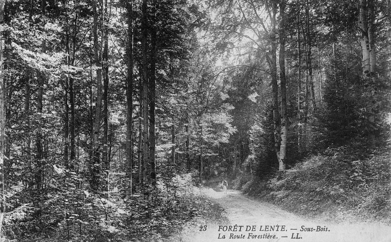 Bouvante.- Chemin forestier de la forêt de Lente.