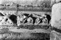 Romans-sur-Isère.- Ancienne corniche sculptée des combles de la collégiale Saint-Barnard, au dessus de l'arc triomphal.