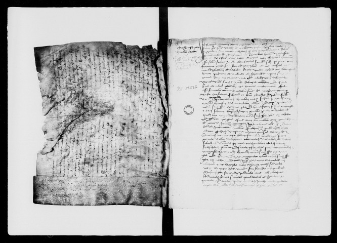 1445-1447