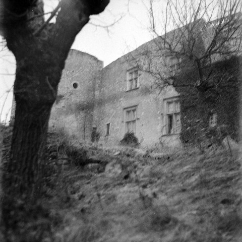 Puygiron. - Façade du château.